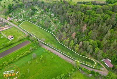 Teren Construcții intravilan de 6500 mp, în Păpăuți - 7