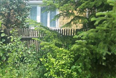 Casă cu 3 camere cu Teren 450 Mp în Hidiș - 7