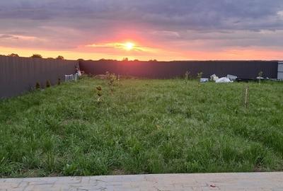 Teren Construcții intravilan de 539 mp, în Cornetu - 6