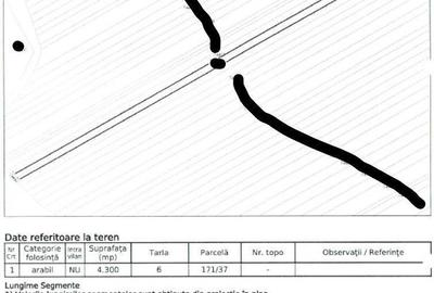 Spațiu comercial, în Muntenii de Jos - 4