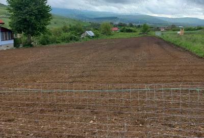 Teren de 1000 mp, în Nord-Vest - 3