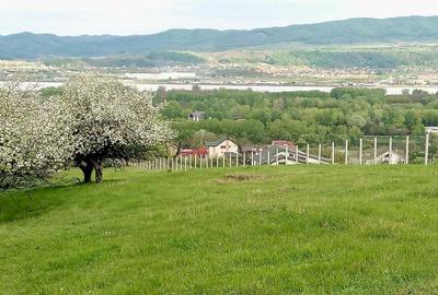 Spațiu comercial, în Troian - 4
