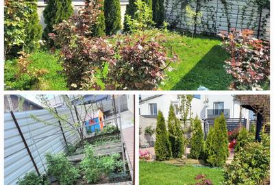 Casă cu 4 camere în Albești - 4