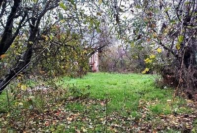 Pantelimon/ Ilfov - 4