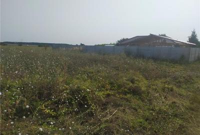 Teren în Frumușani