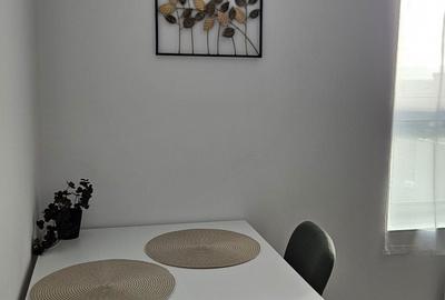 Apartament cu 2 camere decomandat în Gara Mare - 7