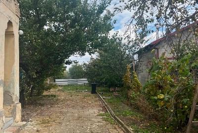 Vând cotă de 85% casă bătrânească -Com. Liebling - 8