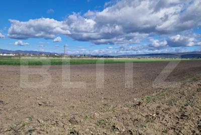 Teren de 15000 mp, în Central - 6