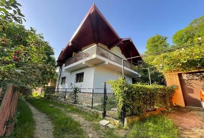 Vila ideală pentru relaxare sau afacere, Valea Budului