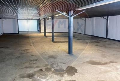 Trei spatii productie sau depozitare | 480-330-320mp | zona Bulgaria - 8