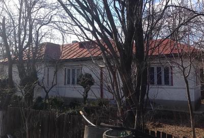 Casă cu 3 camere în Rași - 3