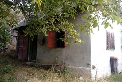 Casă cu Teren 651 Mp în Băișoara - 6