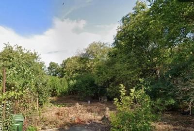 Teren 317 mp langa padure Straulesti-Sisesti - 4