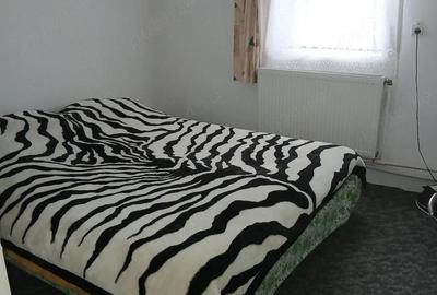 Casă cu 3 camere cu Teren 64 Mp în Pișcolt - 9