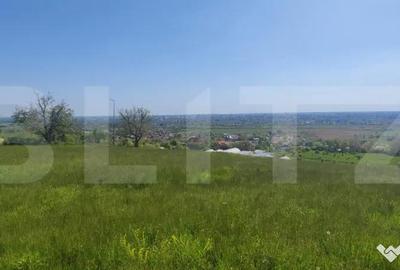 Teren în Valea - 1