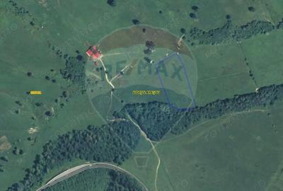 Teren de 10000 mp, în Nord - 1