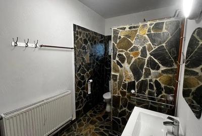 Apartament cu 2 camere semidecomandat în Clinceni - 5