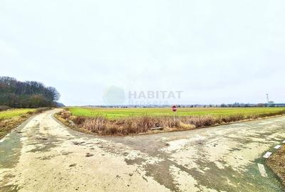 Teren | Poiana Ciolpani | Iris Orangerie - 7