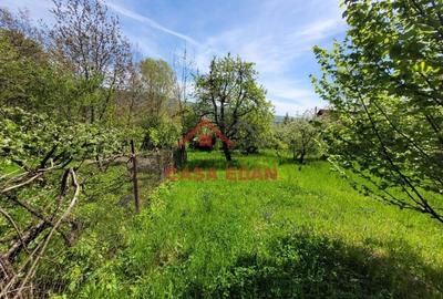 Teren intravilan in Breaza 1142 mp deschidere 46m 35e mp - 12