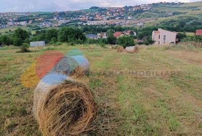 Teren intravilan 1.000 mp in Borhanci, ideal pentru casa, cu drum de servitute - 1