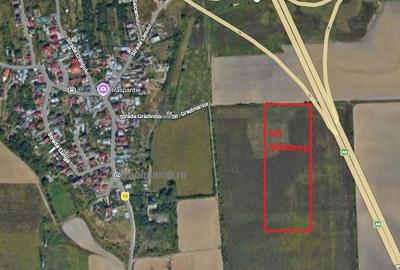 Teren agricol extravilan de 8000 mp, în Manolache - 1