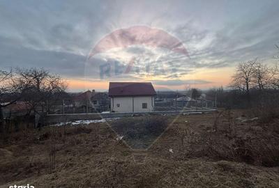 Spațiu comercial, în Buhoci - 3