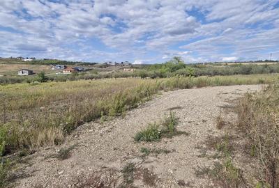 Teren Construcții intravilan de 680 mp, în Săldăbagiu de Munte - 5