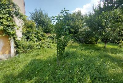 Casa deosebita, doua corpuri, 7 camere, 3 bucatarii, curte 1282 mp, Rasnov. - 4