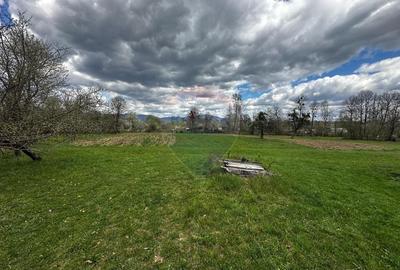 Teren Construcții intravilan de 5097 mp, în Dumbrăvița - 6