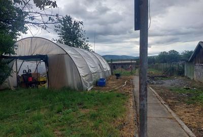 Casă cu 4 camere în Lugașu de Jos - 5