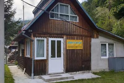 Casă cu 3 camere cu Teren 1951 Mp în Băișoara - 3