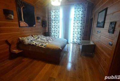 Loc. Unguras (jud, MM) - proprietate deosebita - 12