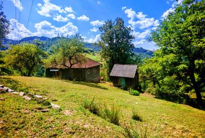 CASA TRADITIONALA, ANEXE si 46.980 mp teren partial INTRAVILAN BULZ - BIHOR - 4