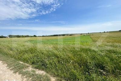 Teren de 8000 mp, în Mitocu Dragomirnei - 2