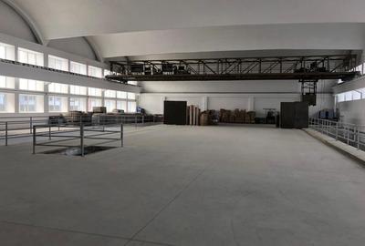 Spațiu comercial, de 1,800 mp, în Jilava - 8