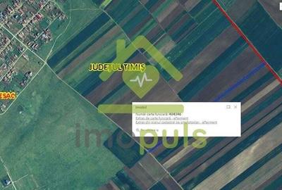 ? Teren extravilan la Pesac de 8.000 mp (1,4 euro/mp)? - 3