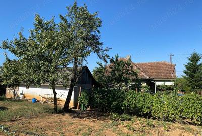 Casă cu 2 camere în Săcășeni - 6