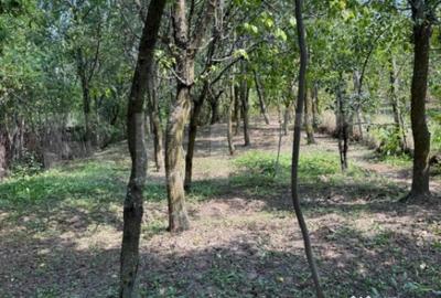 Casă cu 4 camere cu Teren 1053 Mp în Central - 12