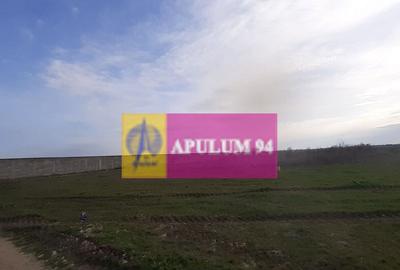 Parcela langa padure in Ilfov - 7