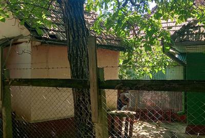 Casă cu 3 camere în Central - 2