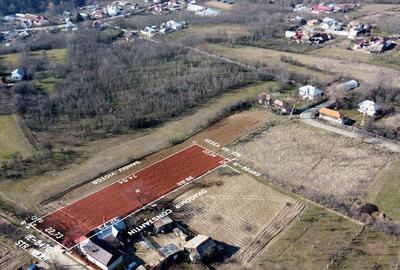 Teren intravilan 1690mp - 3