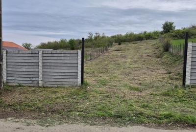 Spațiu comercial, în Podari - 5