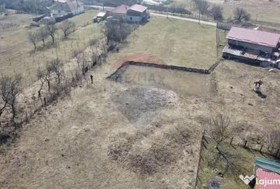 Teren de 3591 mp, în Aghireșu - 10