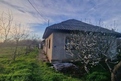Casă cu 5 camere cu Teren 2470 Mp în Șoldanu - 6