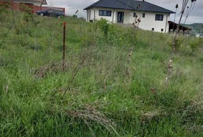 Spațiu comercial, în Central