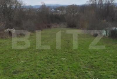 Teren de 3000 mp, în Plopu - 4