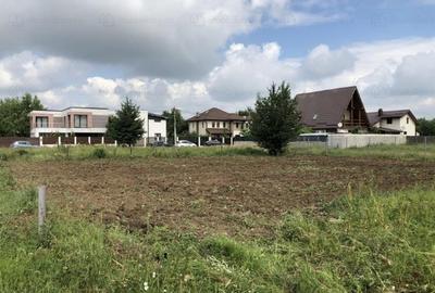 Teren Mogosoaia str Vanatorilor - 3