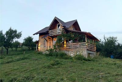 Casa de Vacanta zona Lunca Frumoasa - 13