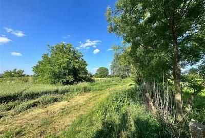 TEREN INTRAVILAN, 1200 mp, HARMAN, COMISION 0% - 4