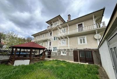 Vila unica, 520 utili, in inima judetului Caras-Severin - 19